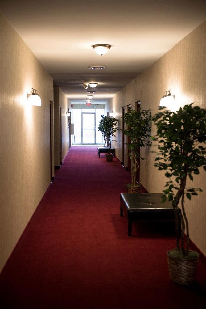 Pacer Inn & Suites Motel Delaware Extérieur photo